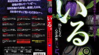 いる。 怖すぎる投稿映像13本 vol.5