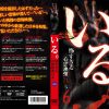 いる。 怖すぎる投稿映像13本 vol.6