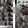 排泄映像