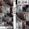 排泄映像2