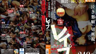 泣き懇願一切無視、男根ぶち込み強姦 レイプ 240分