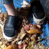 Sole Paradise 20歳大学生