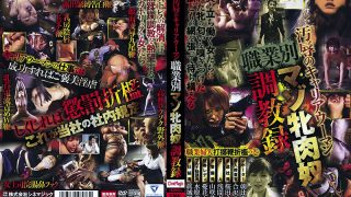 汚辱のキャリアウーマン 職業別マゾ牝肉奴調教録