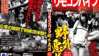 リモコンバイブ 野外悪戯