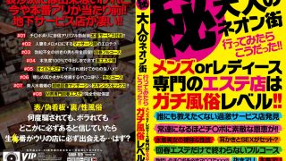 （秘）大人のネオン街 行ってみたらこうだった！！