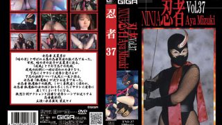 忍者Vol.37