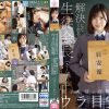 男子生徒の欲望が集まるウラ目安箱 さくられん