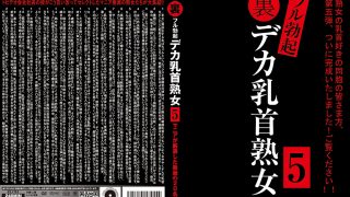 裏フル勃起デカ乳首熟女5 マニアが厳選した垂涎の20名