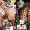 蠢蟲蟲～64×4000～
