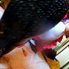 みくちゃんの馬○パンプスで金魚クラッシュ VOL2 最終章
