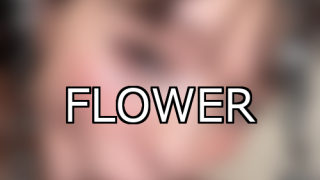 【DUGA】FLOWERのおすすめ人気作品TOP10